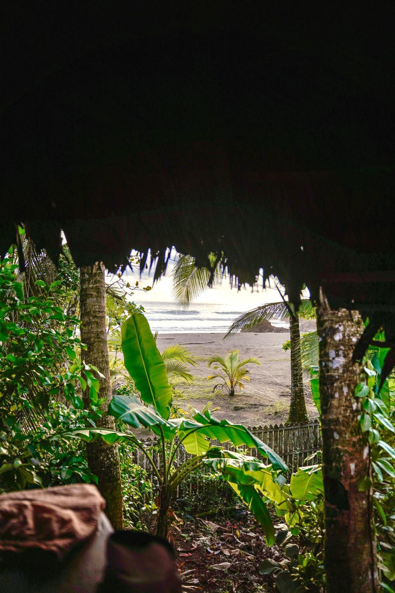 Hotel The Humpback Turtle El Valle  Exterior foto