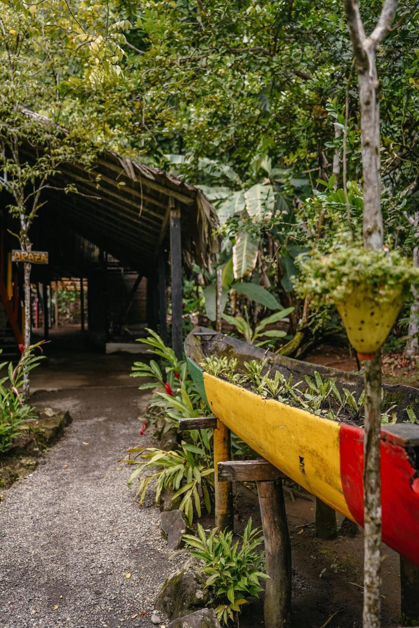 Hotel The Humpback Turtle El Valle  Exterior foto
